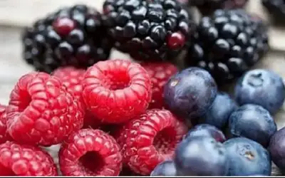 9 أطعمة صديقة للكلى .. حماية