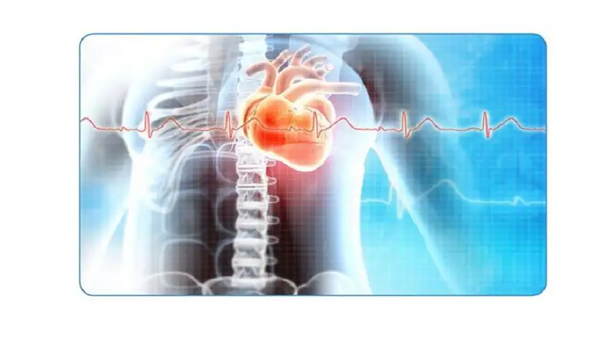 أمراض الجهاز الوعائي تتصدر أسباب الوفاة