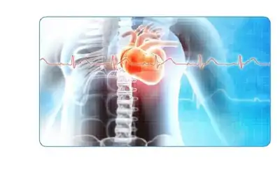 أمراض الجهاز الوعائي تتصدر أسباب الوفاة