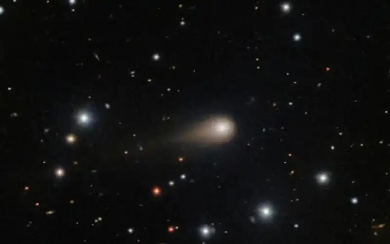 تغير لونه من الأحمر للأخضر ..