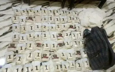 المنطقة العسكرية الشرقية تحبط محاولتي تهريب