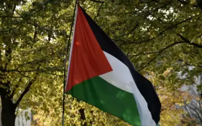الجمعية العامة للأمم المتحدة تتبنى إعلان