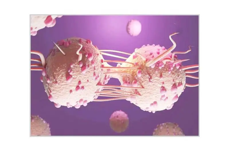 محاضرة حول غذاء الخلايا السرطانية تسلط