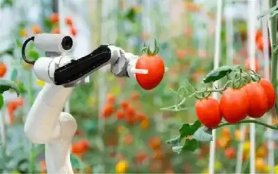 تطوير أول روبوت ذكي مخصص لتربية