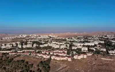 80 منظمة دولية تطالب بإنهاء التجارة