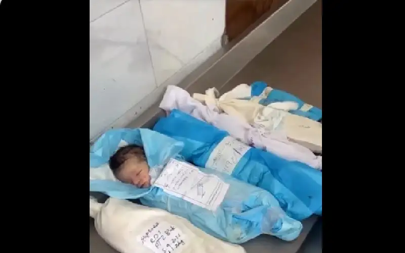 لمن يهمه الامر.. 7 اطفال رضع