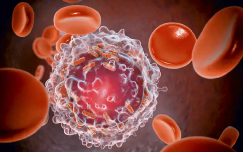 اكتشاف نقطة ضعف جديدة في الخلايا