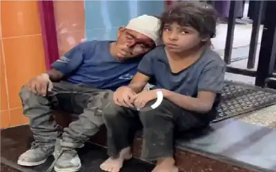 ذلك الكتف الصغير وذلك الألم الكبير