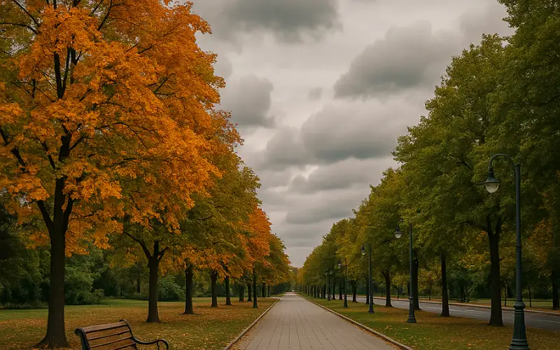 طقس العرب: ليال مائلة للبرودة في