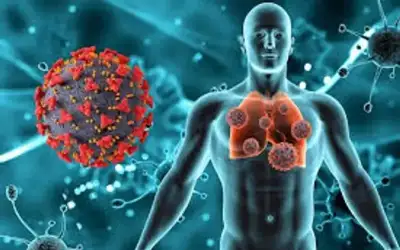 ارتفاع الإصابات بفيروس H3N2 في الهند