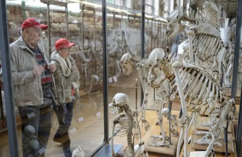 سرقة عينات ذهب بقيمة 700 ألف