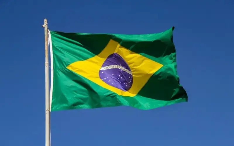 البرازيل تنضم رسميا لدعوى الإبادة الجماعية