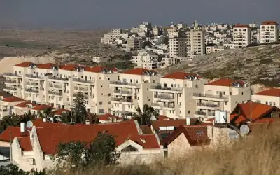 تقرير: حملة عالمية تدعو لانهاء جميع
