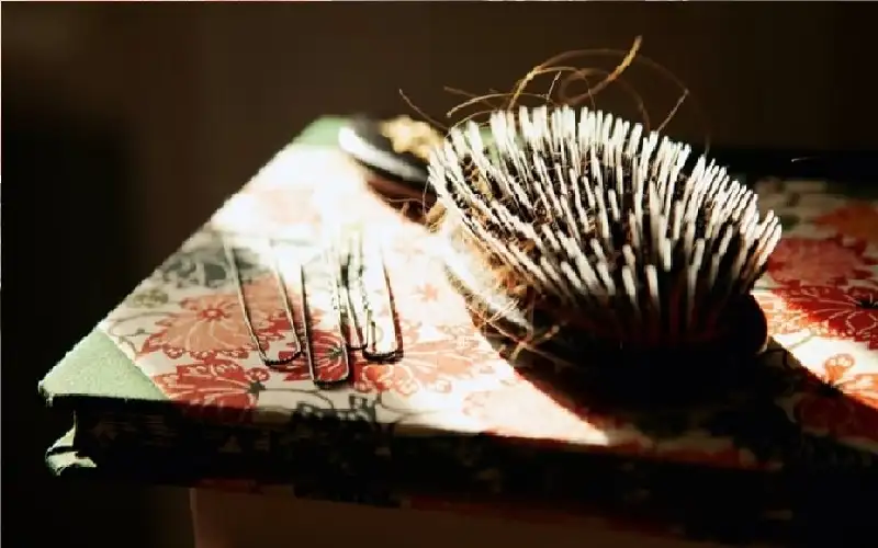 كيف حاول الإنسان إنقاذ شعره عبر