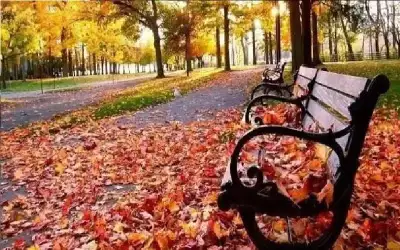 89 يوما و20 ساعة و43 دقيقة