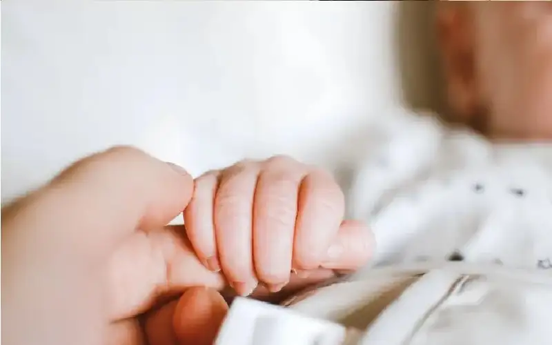 لمواجهة تراجع المواليد.. فنادق بولندية تمنح