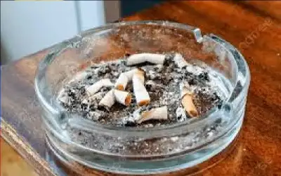 التدخين.. والخيارات الأخرى