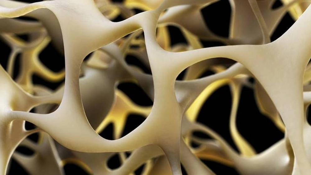 مستقبل خلية ينظم كثافة العظام