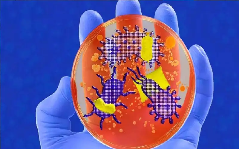 من الأمعاء إلى الدماغ .. الميكروبات