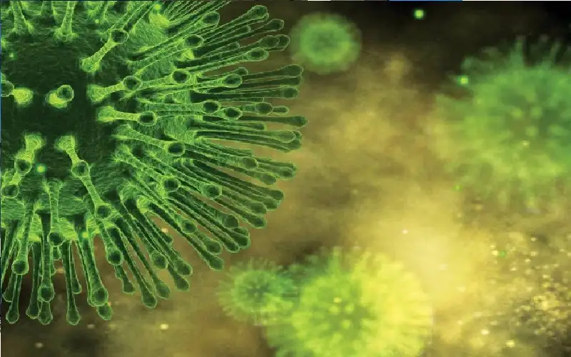 علاج للبكتيريا المقاومة للمضادات الحيوية