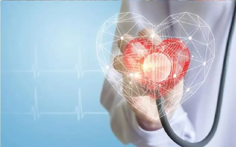 يوم القلب العالمي 2025.. حقائق وأرقام