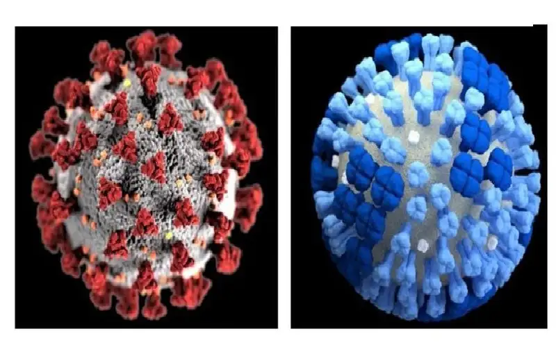 إنفلونزا الخريف أم كورونا.. أبرز الفروق