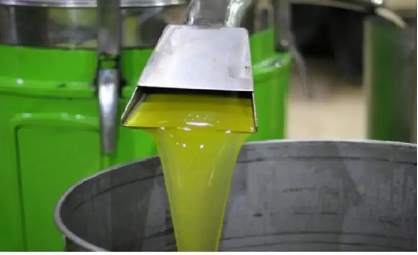 الغذاء والدواء: جولات ميدانية وفحوصات مجانية