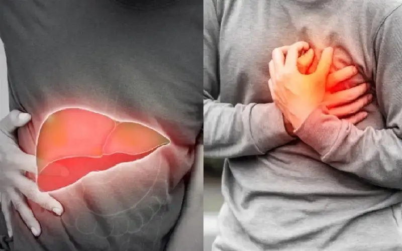 الجمع بين دواءين للقلب يعالج مرضا