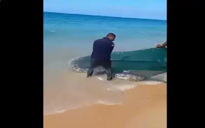 هكذا استفاد الغزيون من انشغال البحرية