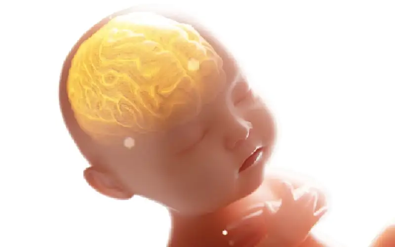 دراسة: تناول الحامل لدواء بروزاك يضر