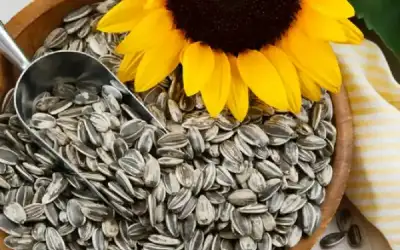 بذور عباد الشمس .. كنز غذائي
