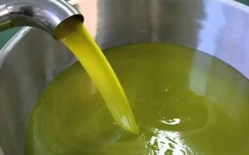 تثبيت أسعار زيت الزيتون وأجرة العصر