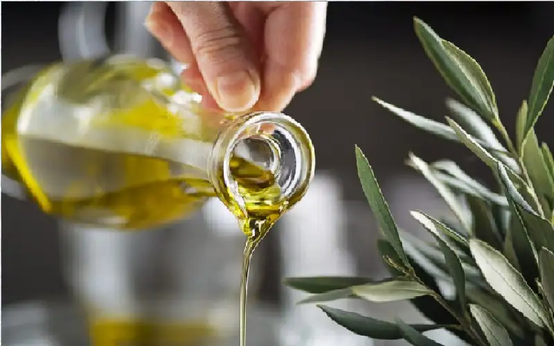 وزير الزراعة: فحوصات مجانية لزيت الزيتون