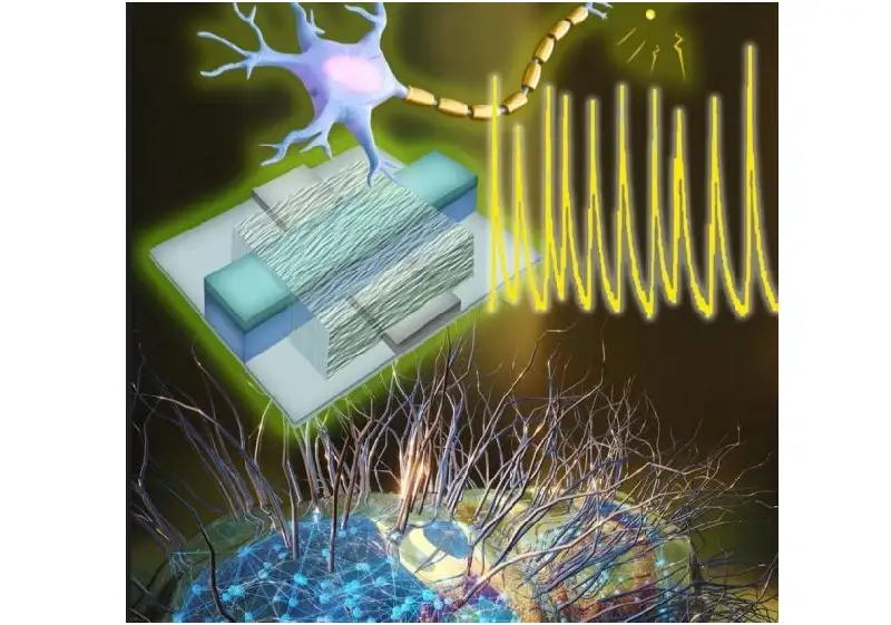 خلية عصبية اصطناعية تتفوق على ذكاء
