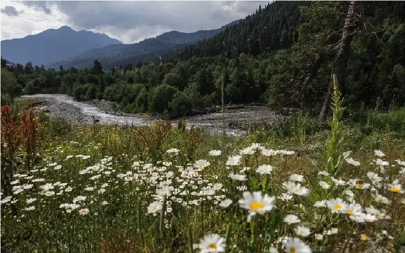 3 أيام بلا طعام أو ماء..