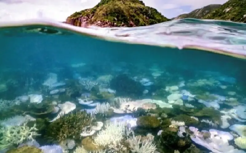 علماء يحذرون: الكون يقترب من نقطة