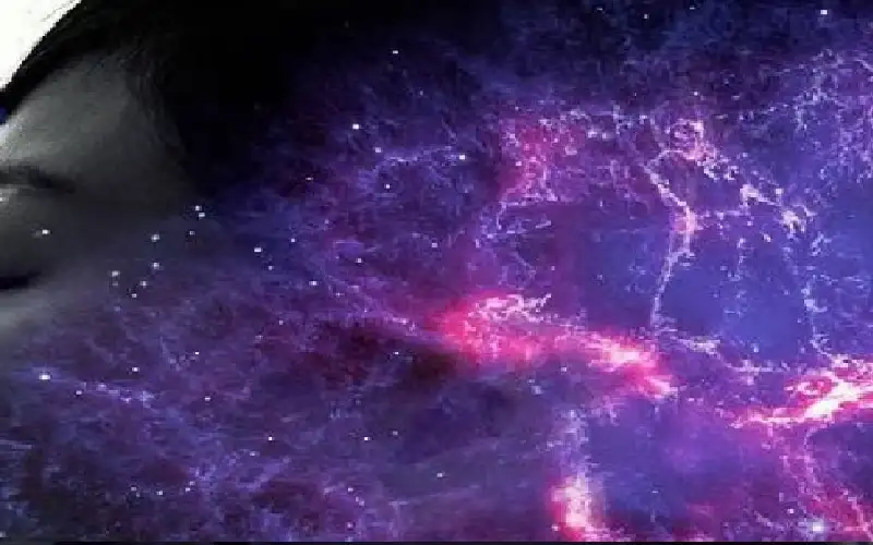 من القلب إلى الدماغ.. العلم يكشف