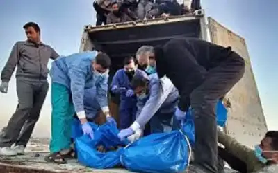 شوههها الاحتلال وأعادها بلا أسماء.. جثامين