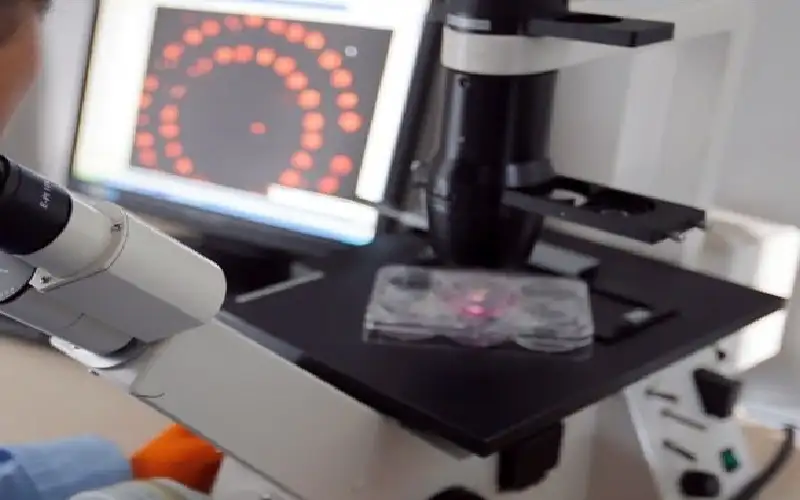 ابتكار طابعة حيوية دقيقة تمهد لعلاج