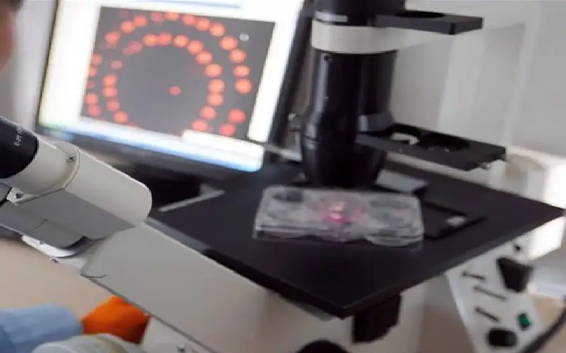 ابتكار طابعة حيوية دقيقة تمهد لعلاج