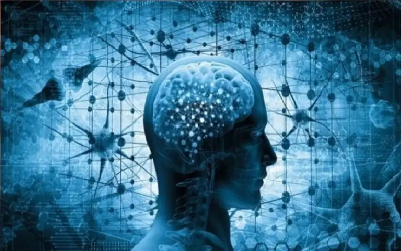 علماء يكتشفون حاسة سادسة مخفية في