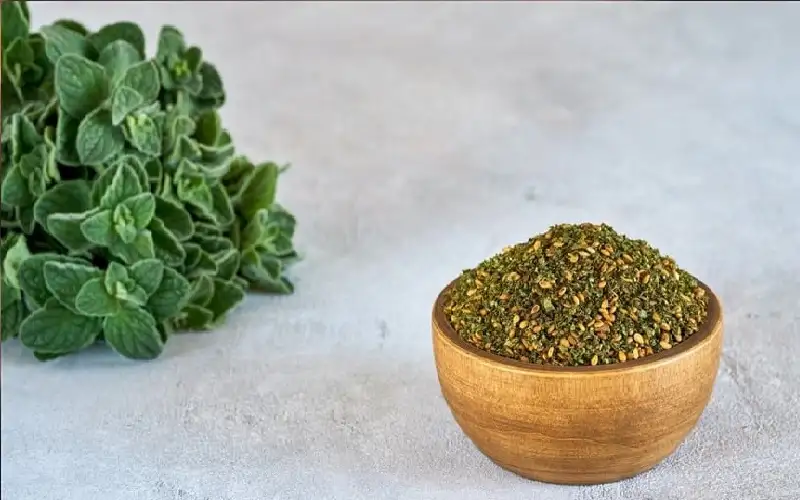 الزعتر.. مضاد للبكتريا يساعد على الوقاية