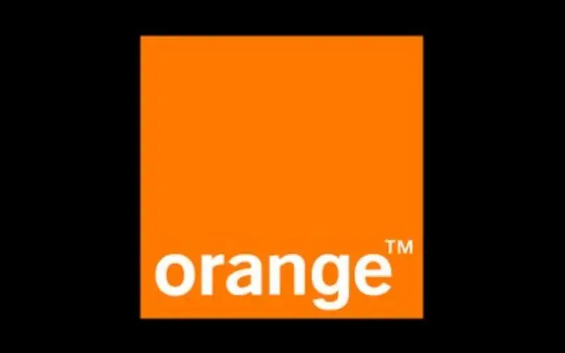 ما بعد النموذج الأولي: مستقبل الشركات