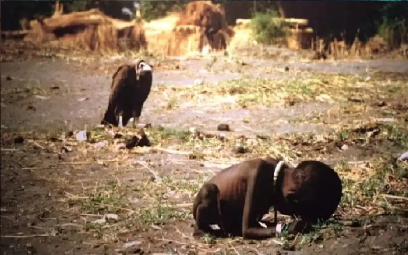 صورة الطفل والنسر.. لقطة أبكت الملايين