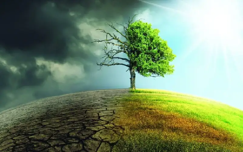 تكاليف عالمية باهظة لحرب ترامب على