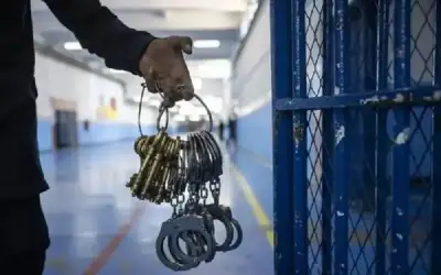 276 عقوبة بديلة عن الحبس خلال