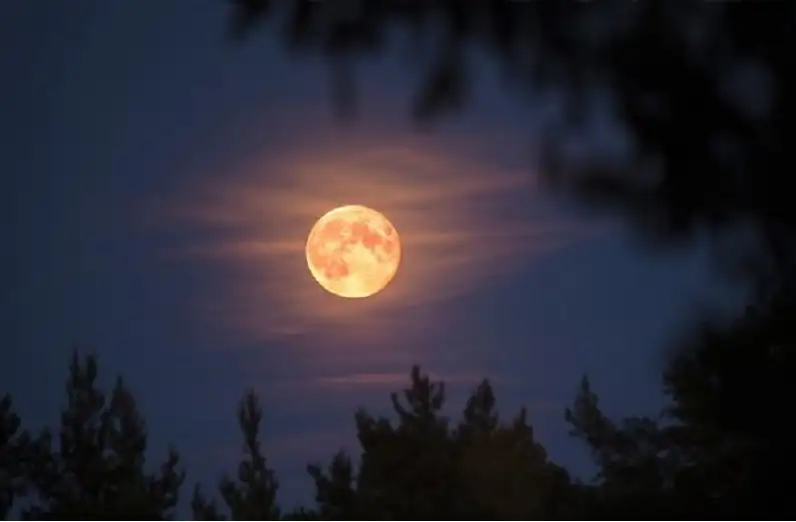 خرافة أم حقيقة؟ .. العلم يفكك