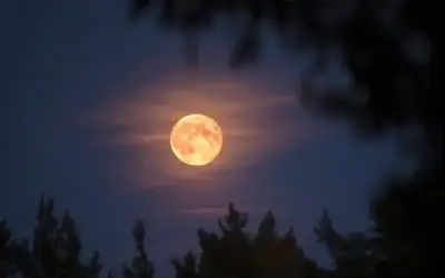 خرافة أم حقيقة؟ .. العلم يفكك