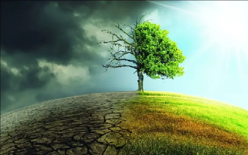 تكاليف عالمية باهظة لحرب ترامب على