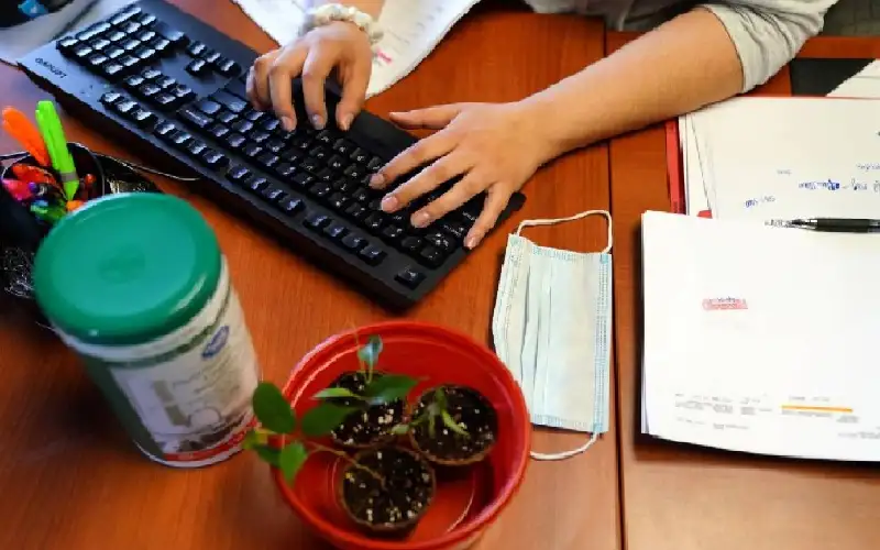 العمل من المنزل بلا خبرة.. أكثر